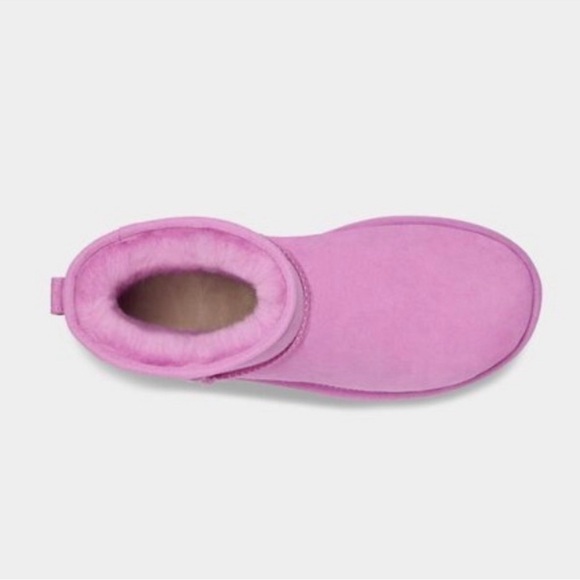 UGG Boots Classic Mini Pink Purple; Women Size 8; Brand New without Box - Picture 3 of 8
